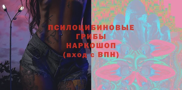 мдпв Нестеровская