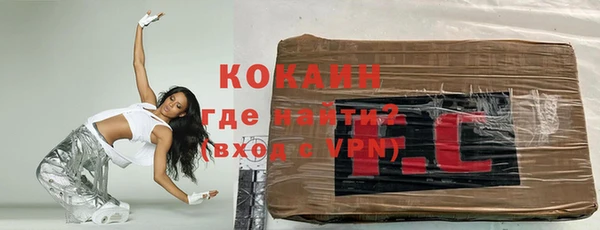 соль ск Дмитриев