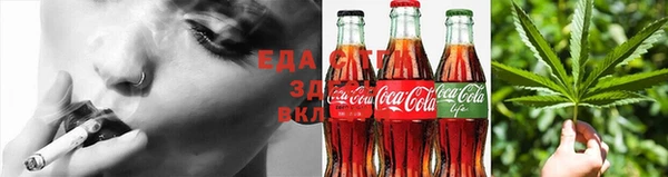 соль ск Дмитриев