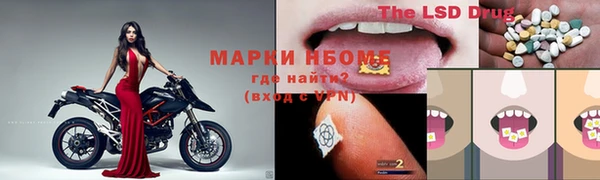 соль ск Дмитриев