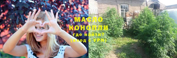 соль ск Дмитриев