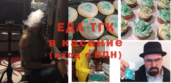 соль ск Дмитриев