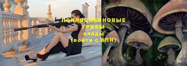 соль ск Дмитриев