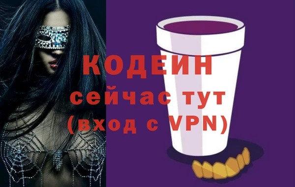 соль ск Дмитриев