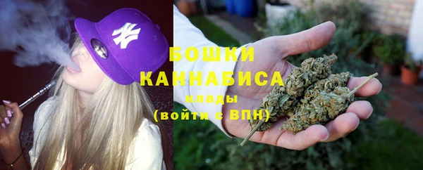 соль ск Дмитриев