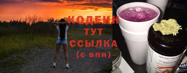 соль ск Дмитриев