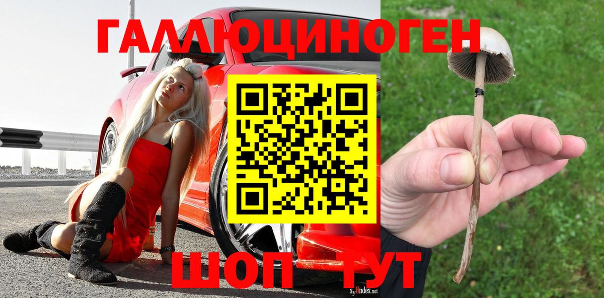 Псилоцибиновые грибы GOLDEN TEACHER Нефтекамск