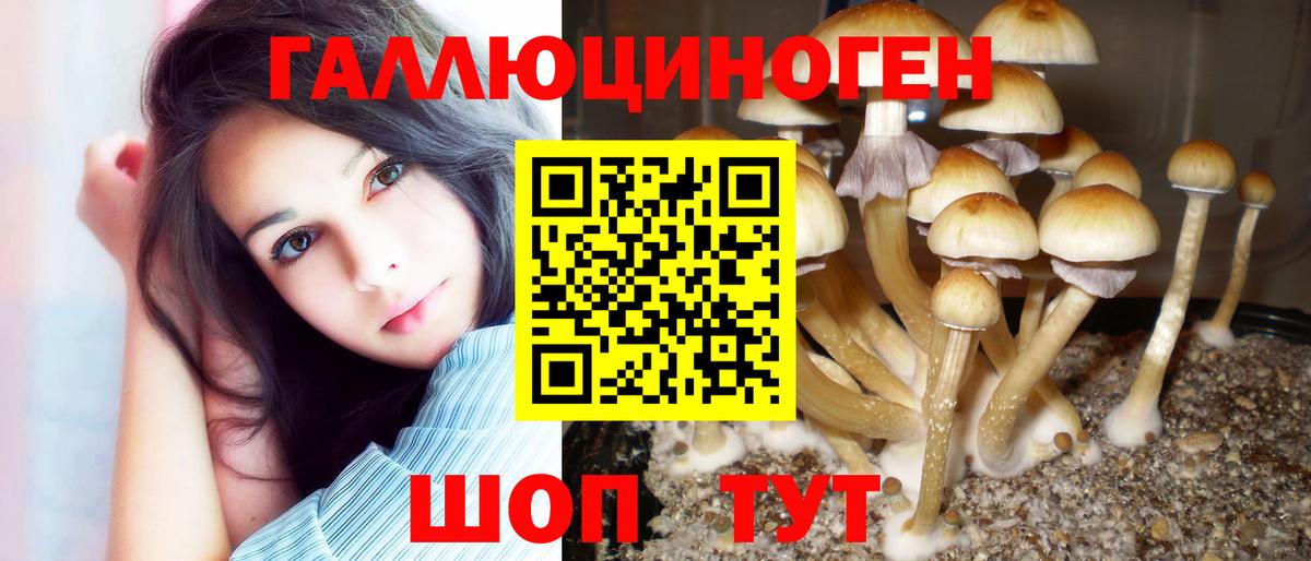 Галлюциногенные грибы мицелий  Вход с VPN  Нефтекамск 