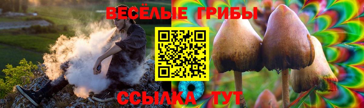 Галлюциногенные грибы Psilocybine cubensis  Псилоцибиновые грибы GOLDEN TEACHER  Вход с VPN  Нефтекамск 